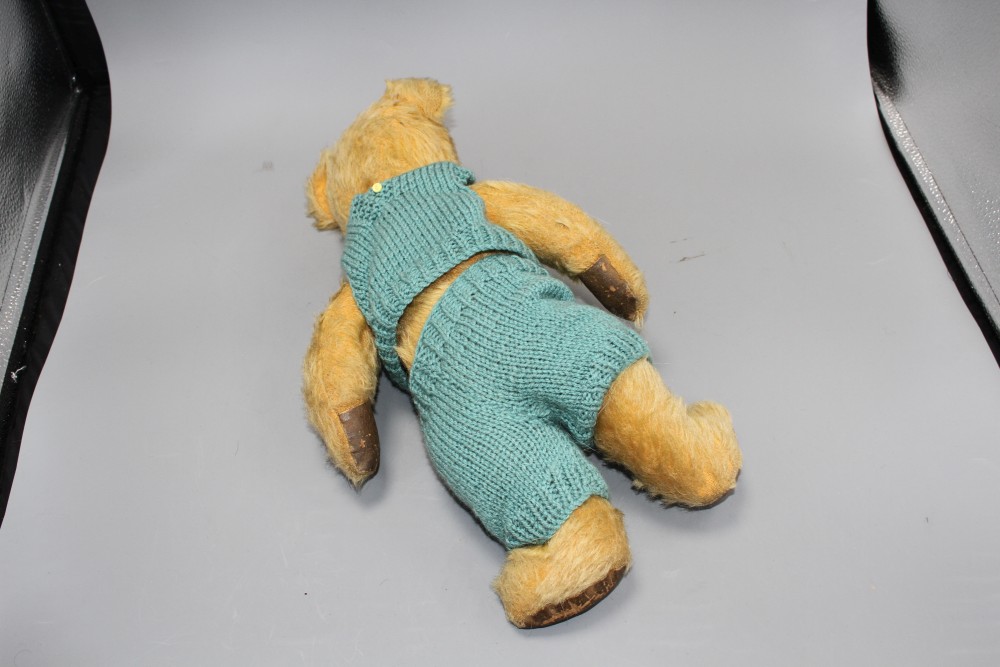 An Omega bear c.1950s, 16in., rexine pads, general hair loss